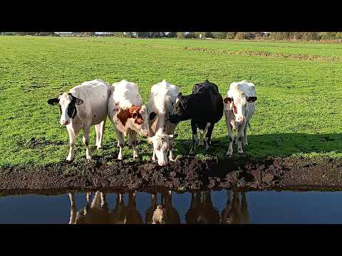 Loetbos Krimpenerwaard 27 oktober 2024