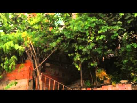 2015 ramazan bayramı