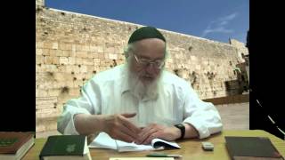 חשיבות תאריכים והכנות לשמיטה - טו' באב