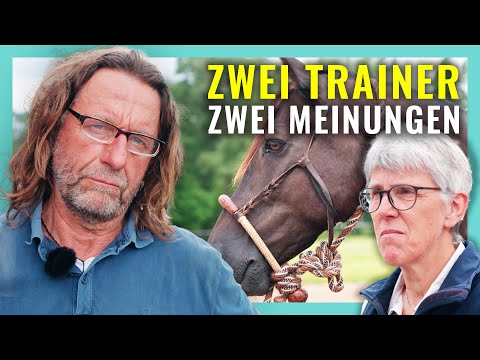 Gaited horse trainer Anja Hagel uncovers rhythm errors!