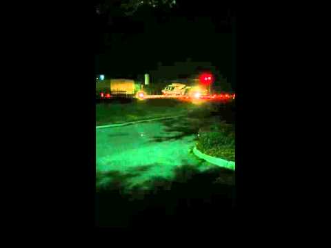 Volusia sheriff airone