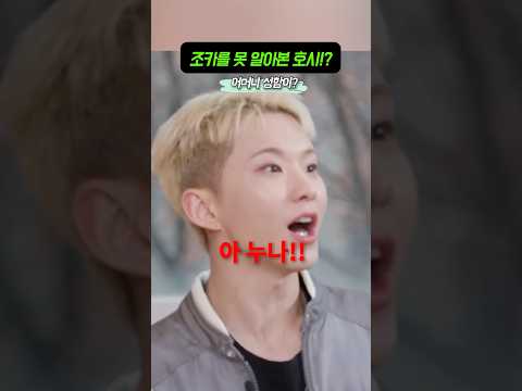 조카를 못 알아본 호시!? #kpop #아이돌 #shorts