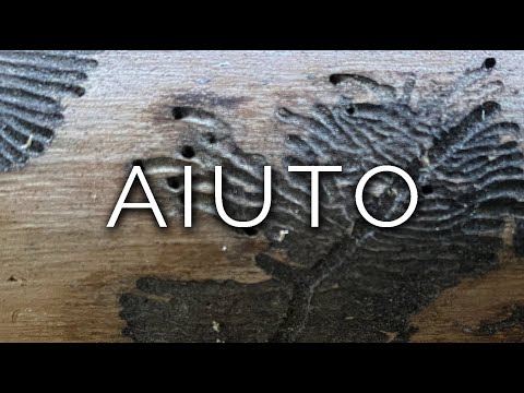 983-IT Maria, AIUTO - Ipnosi Esoterica ∞ Lucio Carsi