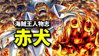 [閒聊] 很多人討厭赤犬?