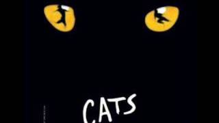 Der Rum-Tum-Tugger - Cats