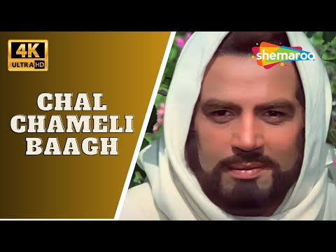 Chal Chameli Baagh | Krodhi (1981) | Dharmendra, Ranjeeta, Sachin | Lata Mangeshkar @4khindisongs18