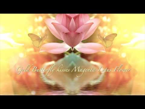 5th single / Gold Butterfly kisses Magenta Lotus Flower  (G.M.KAZ remix)