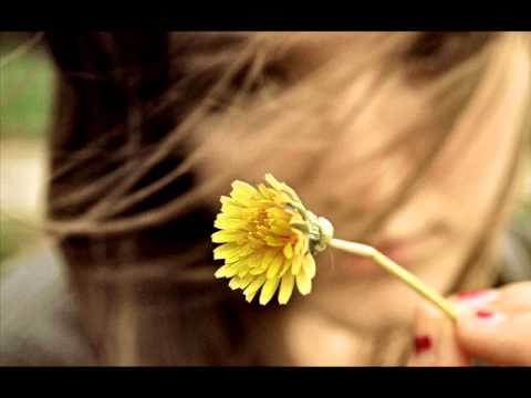 4mplify - Sunshine Disco (Original)