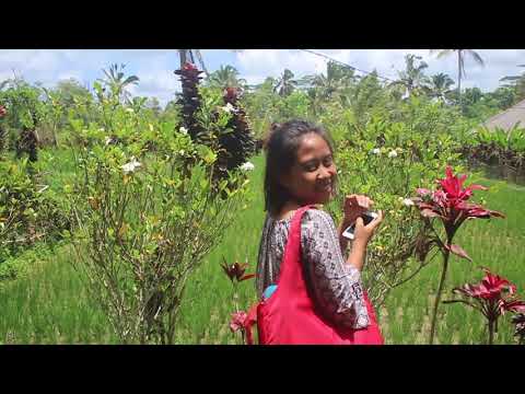 Sekar Bumi Organic Farm