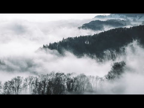 Andy Leech x Fyze // Alchemy