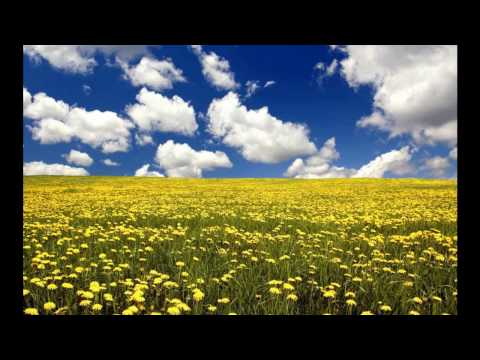 Kristjan Reinvee - Üks Kaunis Viis