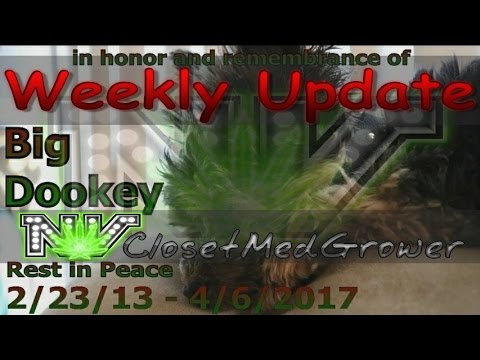 Weekly Update 4/12/2017