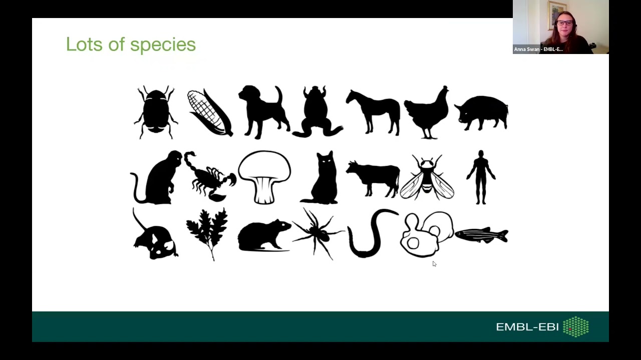 Open access: finding and accessing open data