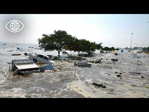 Quand la terre gronde : entre tsunamis et séismes, quel avenir pour l'humanité ? -Documentaire AMP
