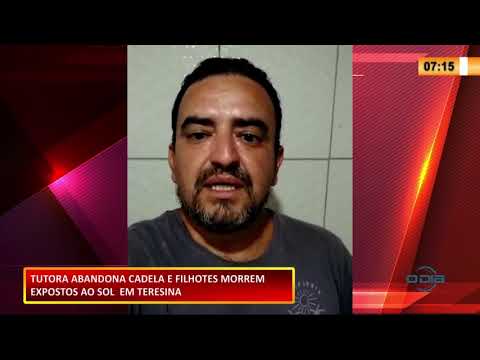 Tutora abandona cadela e filhotes morrem expostos ao sol 22 10 2020