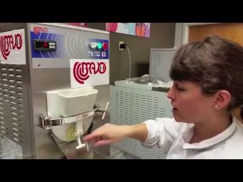 G20: gelato & sorbet batch-freezer