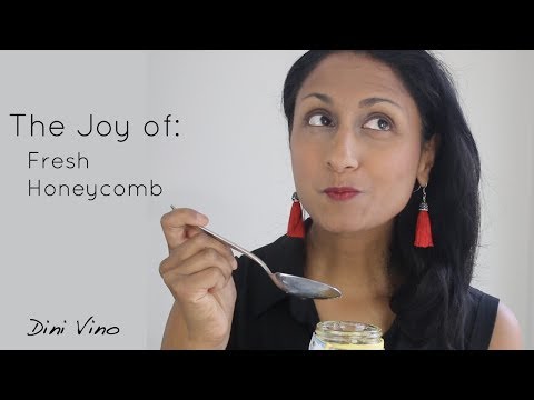 download lagu mp3 mp4 Cheese And Honey, download lagu Cheese And Honey gratis, unduh video klip Cheese And Honey