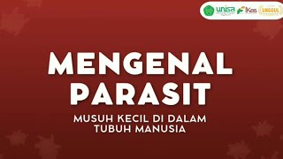 Download lagu Mikrobiologi dan Parasitologi - “Mengenal Parasit, Musuh Kecil di Dalam Tubuh Manusia” (Kelompok B1) mp3 Download lagu Mikrobiologi dan Parasitologi - “Mengenal Parasit, Musuh Kecil di Dalam Tubuh Manusia” (Kelompok B1) mp3