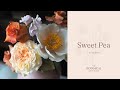 Sweet Pea Sugar Flower Tutorial (Gumpaste / Flower Paste)