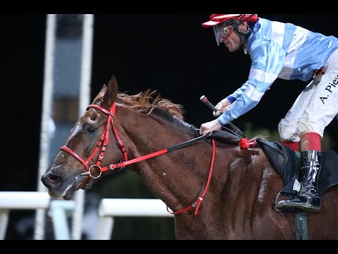 Neuss: jockeyversicherung.de - Preis (D) - Sieger: Passeto