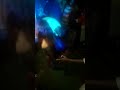 Hot Desi Girl Showing Her Big Boobs In Dance 18 Hot Indian Girl Bikini Dance Dance Godam