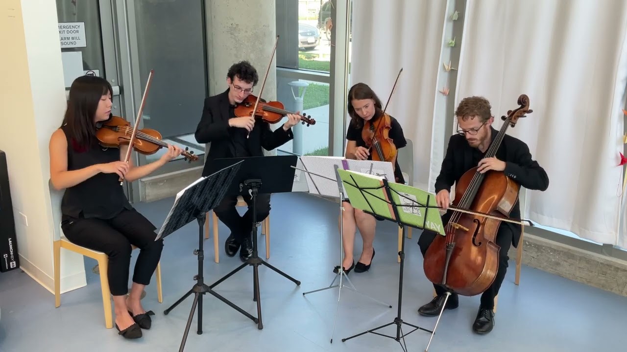 Promotional video thumbnail 14 for Windy City Strings