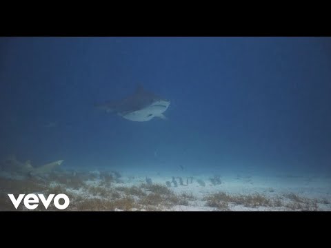 Metak - Da Mi Je Biti Morski Pas