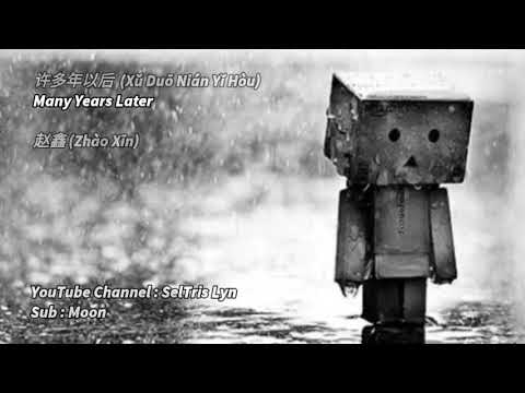 许多年以后 Xu Duo Nian Yi Hou 赵鑫 Zhao Xin Lyric Subtitle Terjemahan English Bahasa