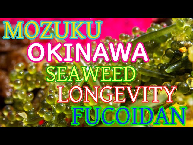 Video Pronunciation of fucoidan in English