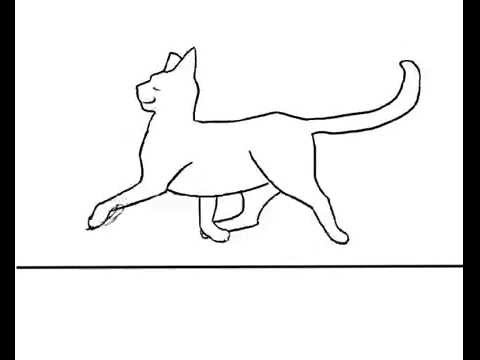 Bipède, rampant, quadripède