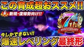 【ドラクエウォーク】まさかの千里行まで周回可能に…今しかできない爆速レベリング最終形!!【新規・復帰勢向け】