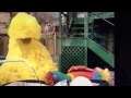 Big Bird Natasha And The Duck Sleeping