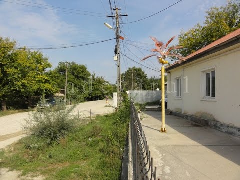 Cocotierii și celelalte ”minuni” din comuna Cungrea-Olt