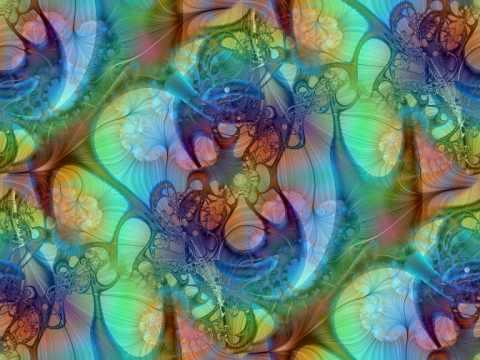 Alien Vs The Cat - Traffic