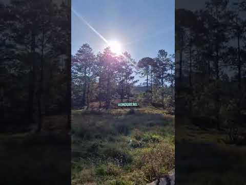 Venta de terrenos en residencial Villas del Pinar en Siguatepeque