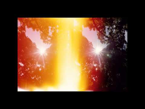 ICP Lecture Series 2014: Mark Borthwick