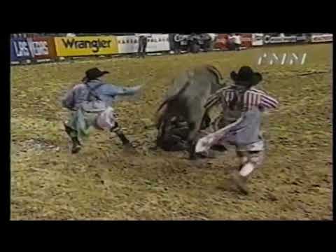 Blueberry Wine bucks Mike White - 00 PBR Columbus, GA