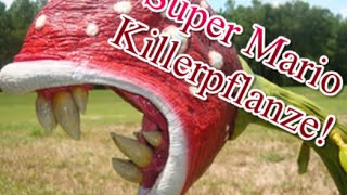 Killerpflanze - Super Mario - Gartenupdate / Hummel zu Besuch