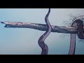 The Jungle Book 1967 Kaa Screen Time