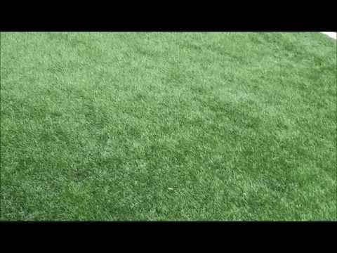 2015-05-10 FC PETROW - SPORTIMA NIKARS