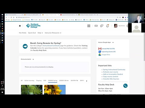 D2l Brightspace Basics 3 Rondi Schei