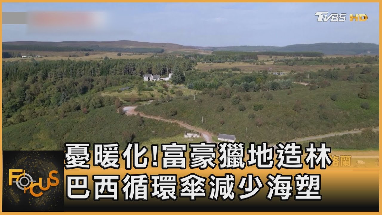 憂暖化!富豪獵地造林 巴西循環傘減少海塑