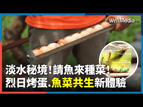 靠太陽就能烤出香噴噴雞蛋？淡水忠寮社區每年發350千瓦綠電 拚淨零碳排！小魚會種菜？淡水秘境體驗迷你版「魚菜共生」手作DIY療癒小物【WellTalk
