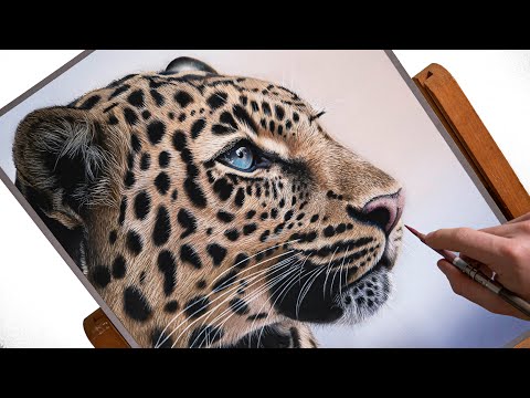 Leopard Speed Drawing | Realistic Pastel Art Tutorial