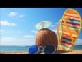 BA Fail Commercial