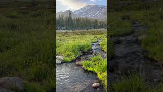 Mount Shasta Retreat Guide, Mount Shasta #mountshasta #panthermeadows #パンサーメドウズ