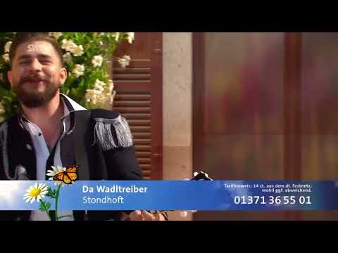 Wadltreiber by Amadeus - Stondhoft Immer wieder Sonntags