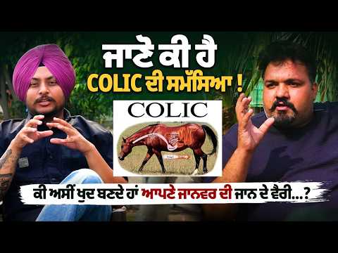 Colic in Animals Explained! Are We Accidentally Harming Our Pets? Dr. Kulwinder Singh Interview File Photo.