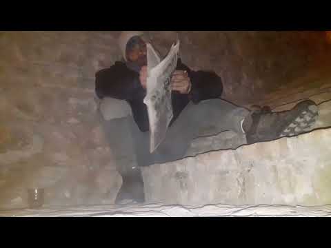 The Doggye ElE Verso . DISTORSIÓN DE UN POEMA●