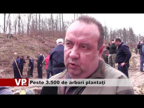 Peste 3.500 de arbori plantaţi
